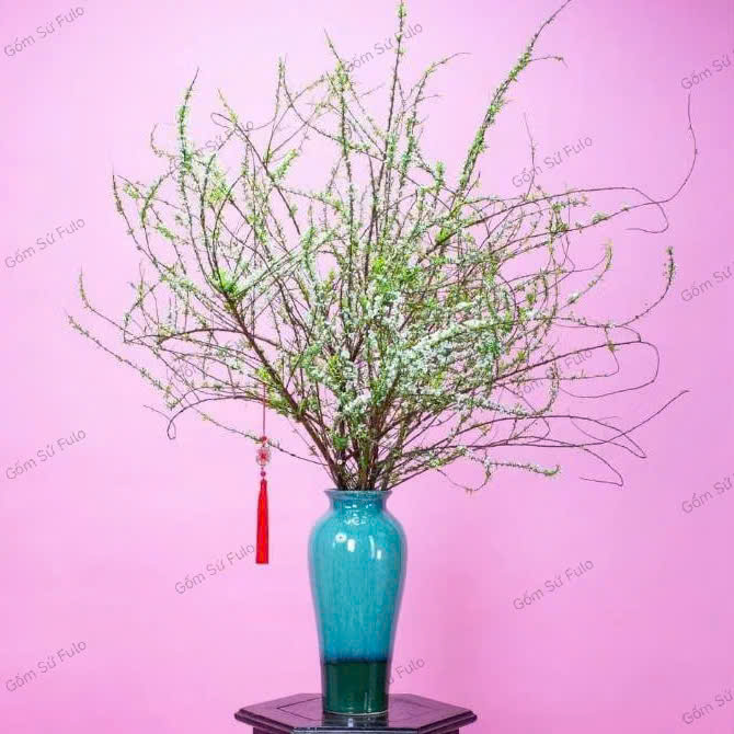 Bình cắm hoa tuyết mai đẹp