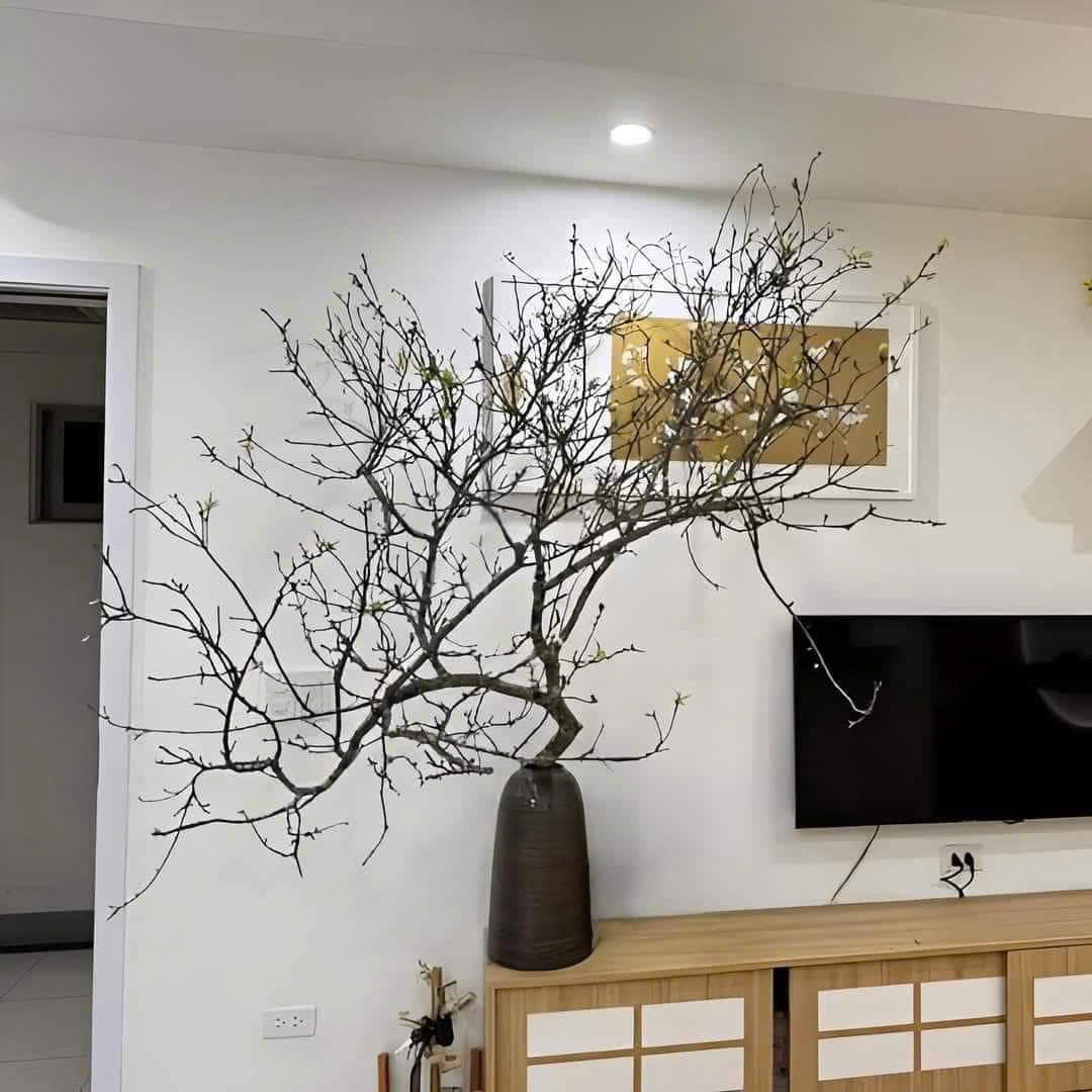Bình cắm cành to lớn