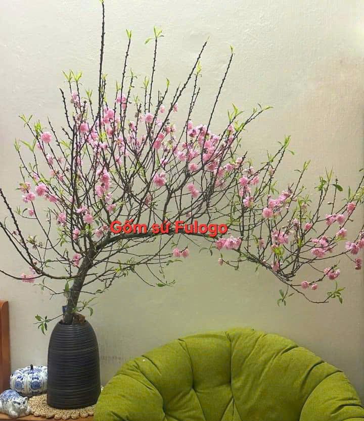 Bình Cỡ Lớn Cắm Cành Nghiêng