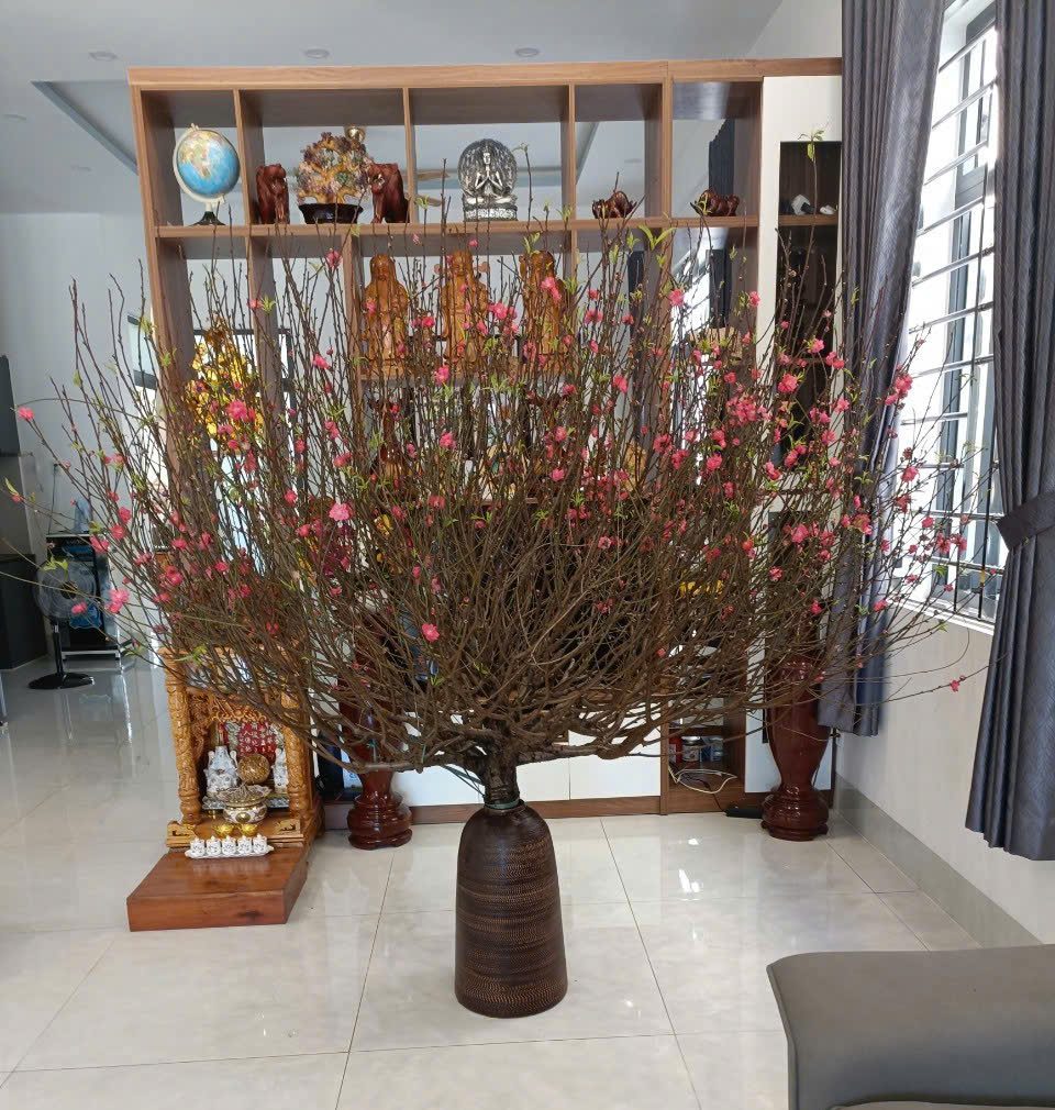 Bình kích thước lớn cắm cành đào huyền không lo bị đổ