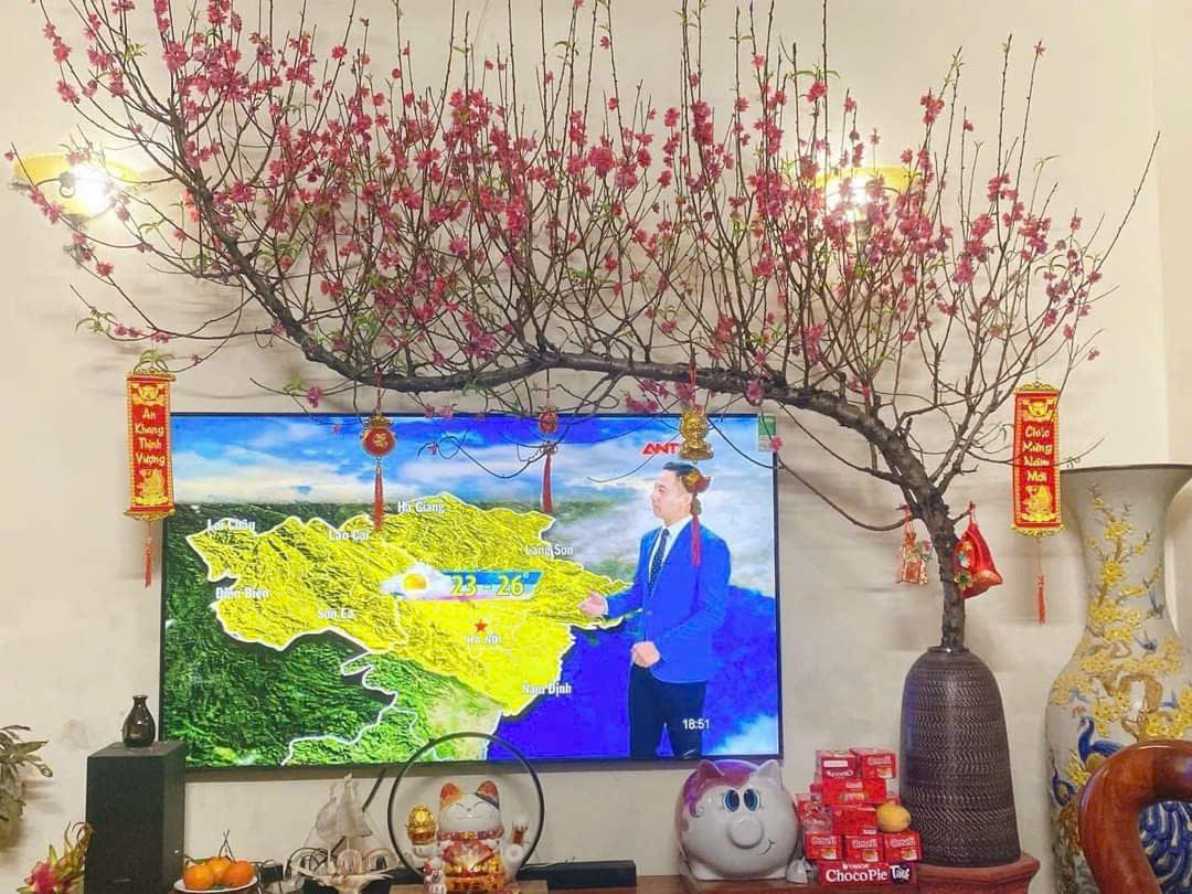 Bình cắm cành đào huyền dai trên 2m