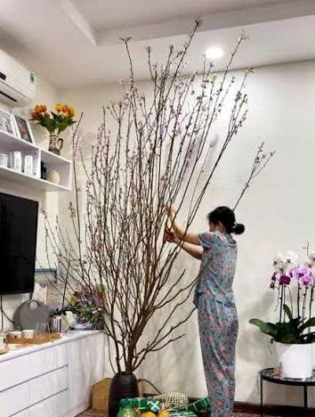 Chọn Bình Không Phù Hợp Với Cành Dễ Bị Đổ Vỡ