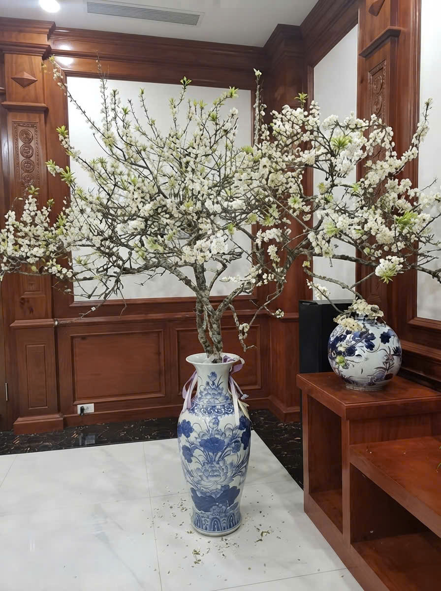 Bình cắm cành mận