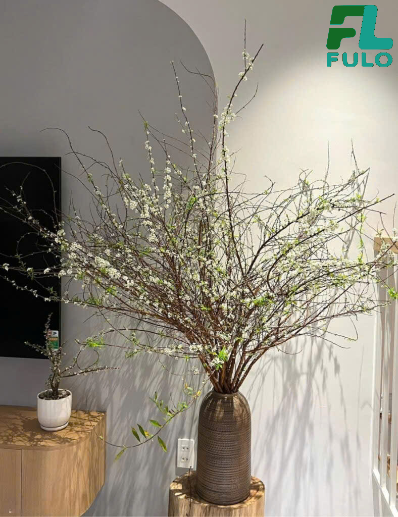 Bình cắm hoa tuyết mai cao 45cm