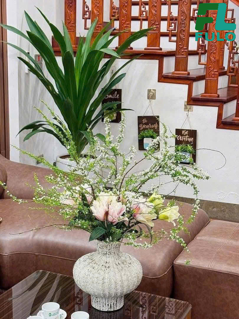 Hoa Tuyết Mai Nên Cắm Bình Nào? Cách Chọn Bình Phù Hợp Với Chiều Cao Của Hoa | Gốm Sứ FULO