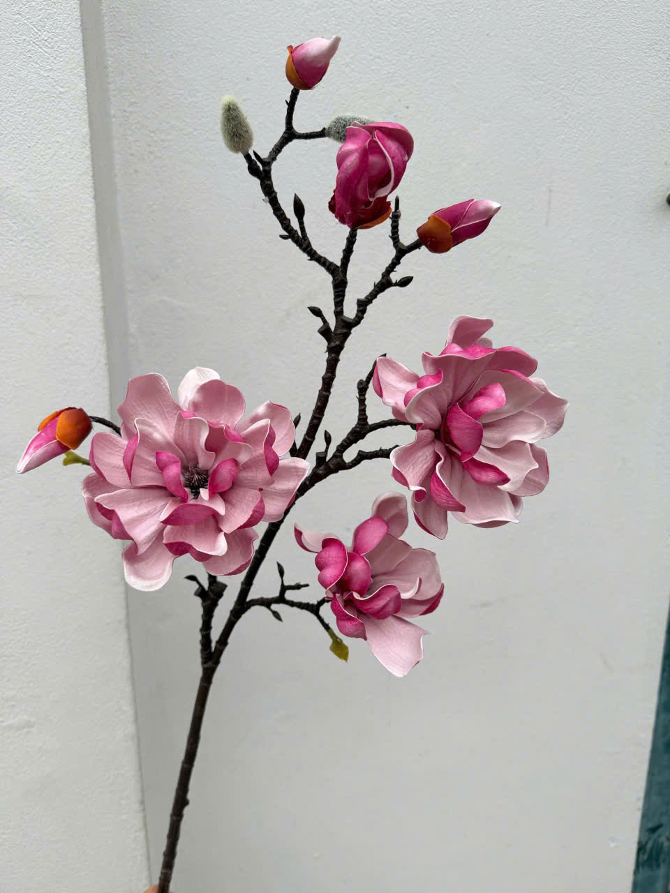 Hoa Mộc Lan giả tại Tphcm